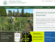 Tablet Screenshot of drbu.org